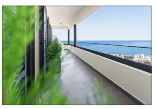 The View Madeira Villa Funchal  Bagian luar foto